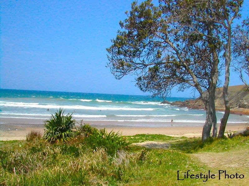 22 Fiddaman Road EMERALD BEACH NSW, Emerald Beach - Thumbnail 5
