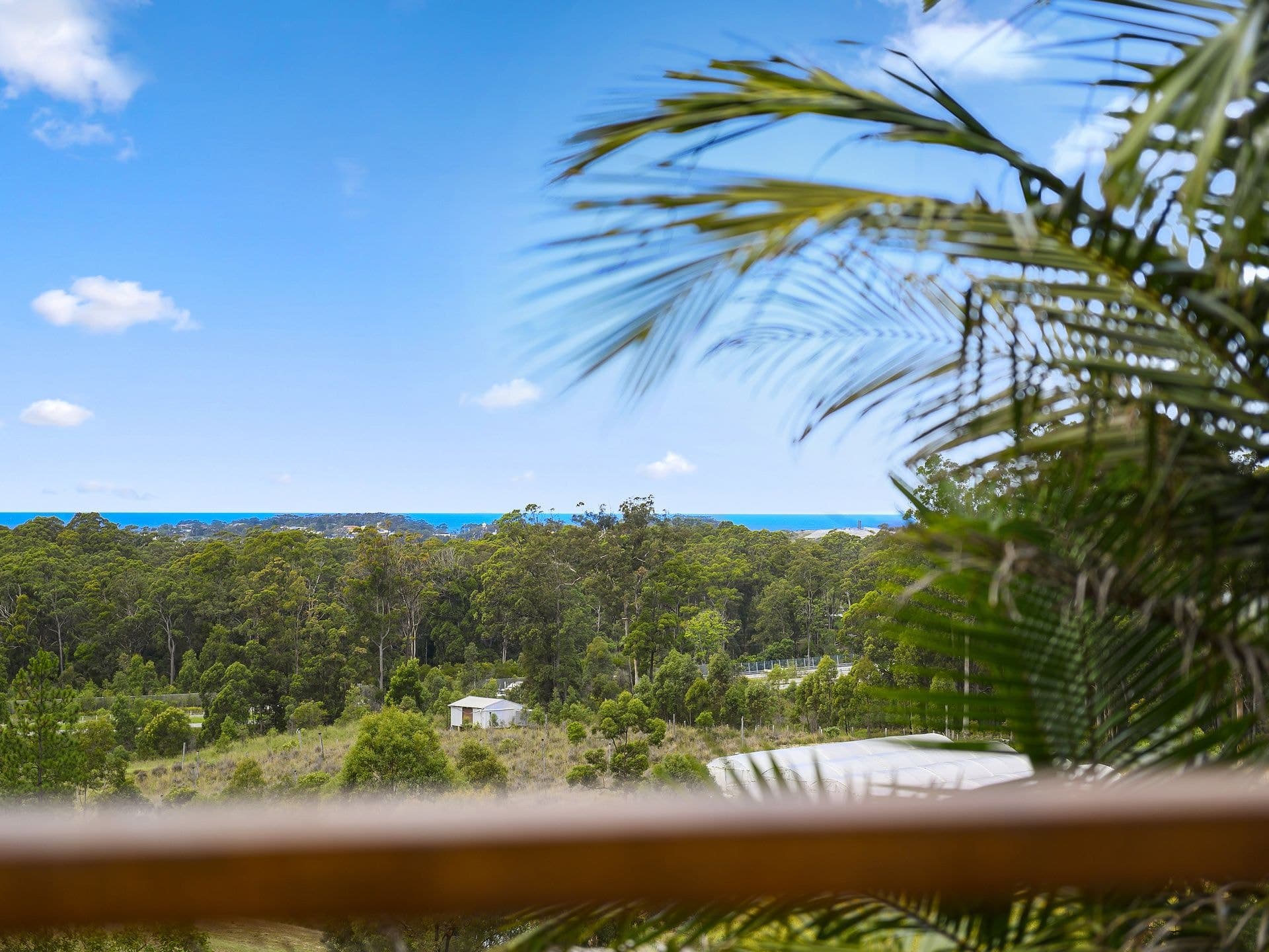 300 Newmans Road WOOLGOOLGA NSW, Woolgoolga - Thumbnail 8