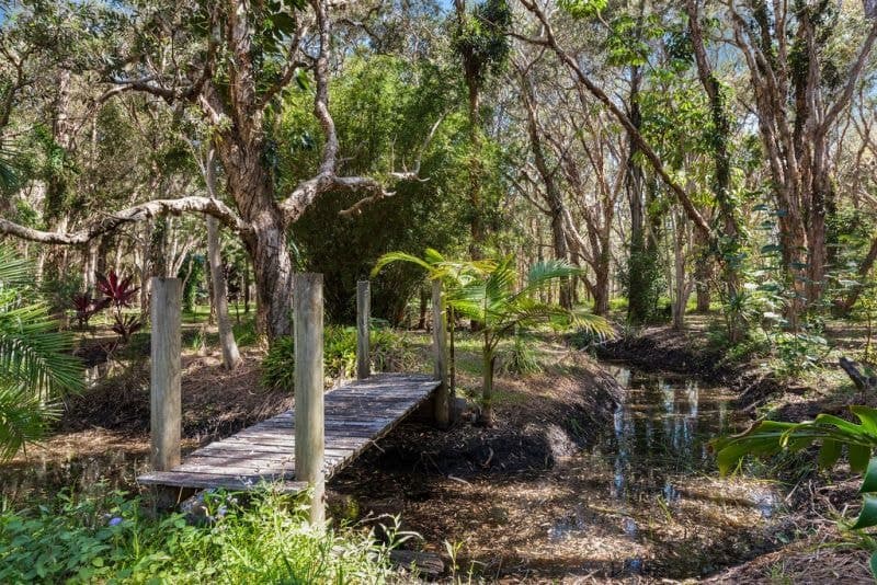 82 Diamond Head Drive SANDY BEACH NSW, Sandy Beach - Thumbnail 4