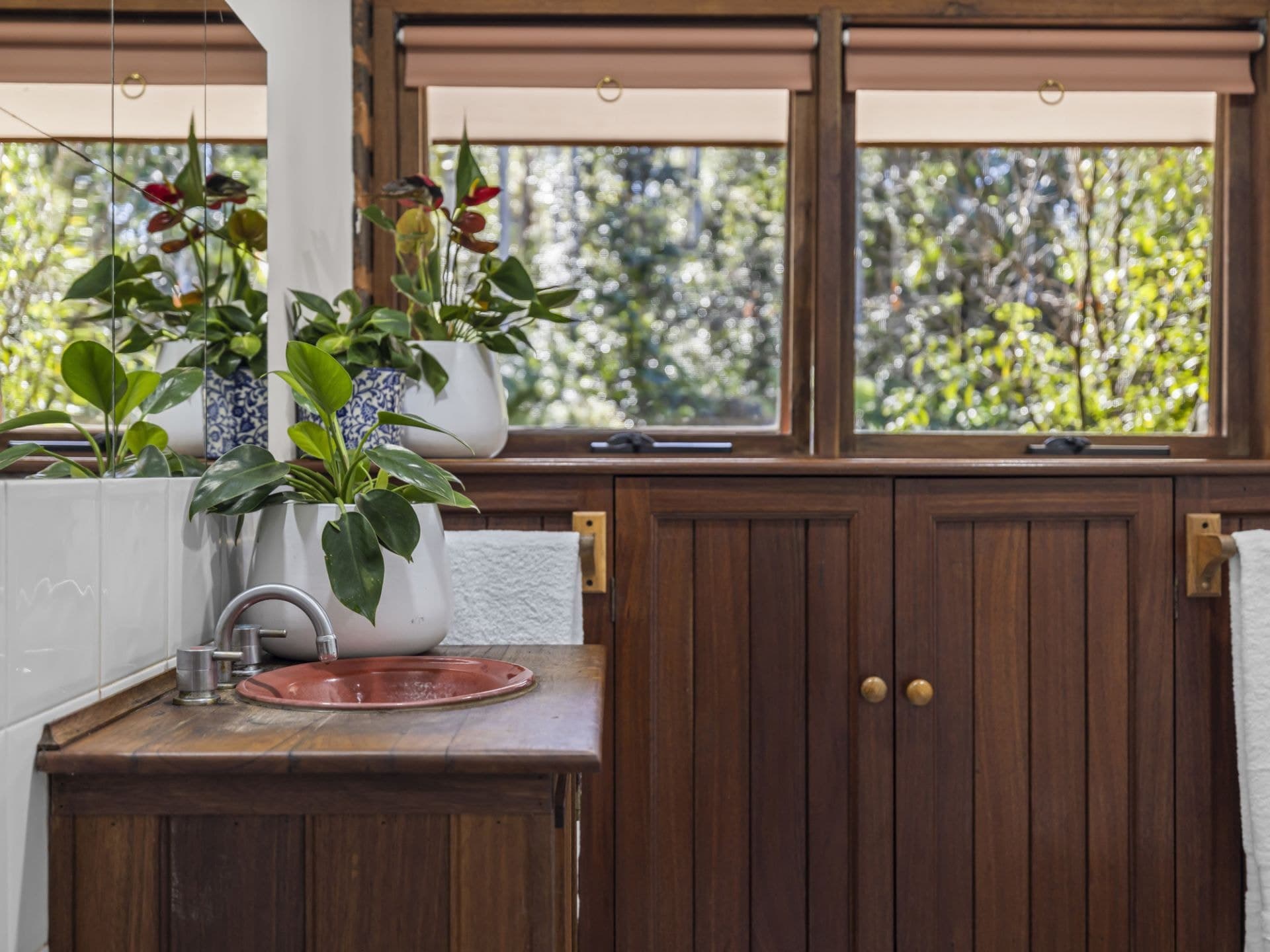 606 Darkwood Rd BELLINGEN NSW, Bellingen - Thumbnail 2