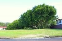 17 Newry St URUNGA NSW, Urunga - Image 1