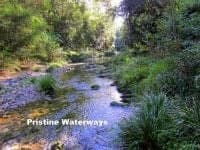 2613 Kalang Road BELLINGEN NSW, Bellingen - Image 1