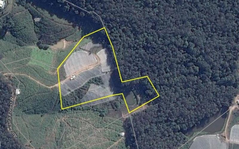 Lot 280 Bark Hut Rd WOOLGOOLGA NSW, Woolgoolga - Image 1