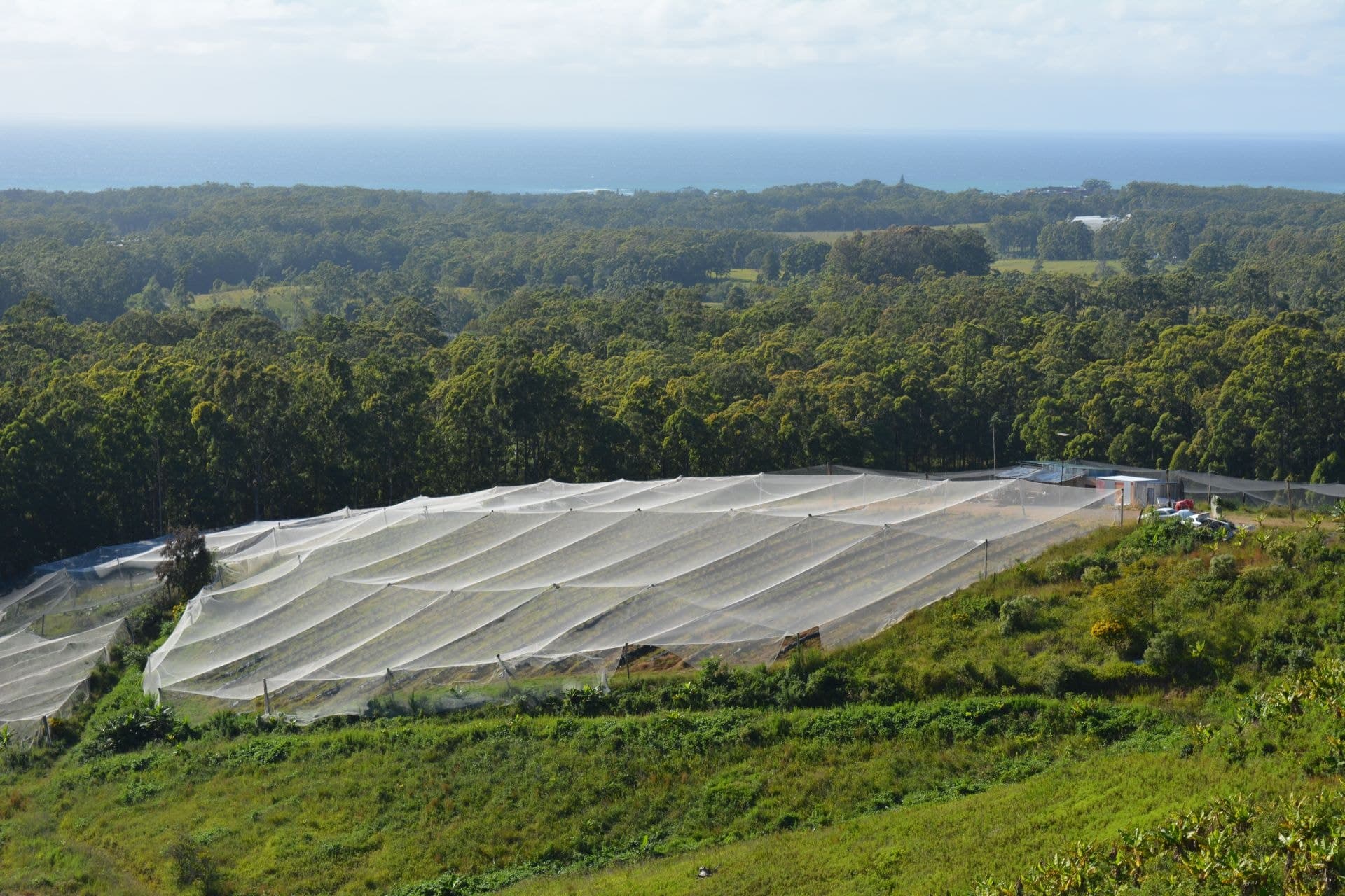 Lot 280 Bark Hut Rd WOOLGOOLGA NSW, Woolgoolga - Thumbnail 2