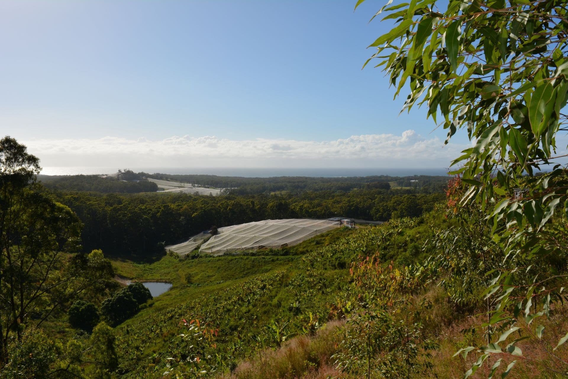 Lot 280 Bark Hut Rd WOOLGOOLGA NSW, Woolgoolga - Thumbnail 3