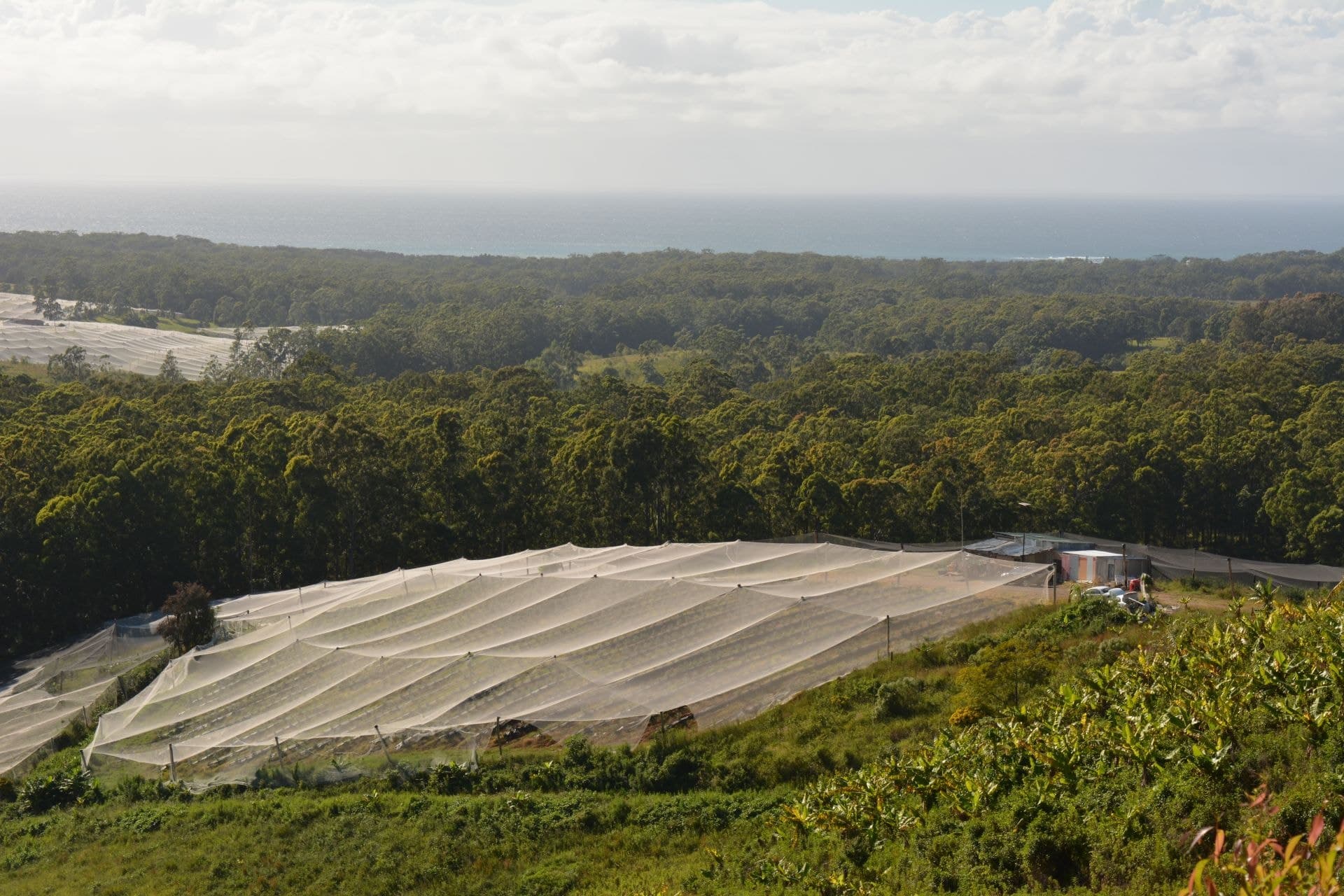 Lot 280 Bark Hut Rd WOOLGOOLGA NSW, Woolgoolga - Thumbnail 5