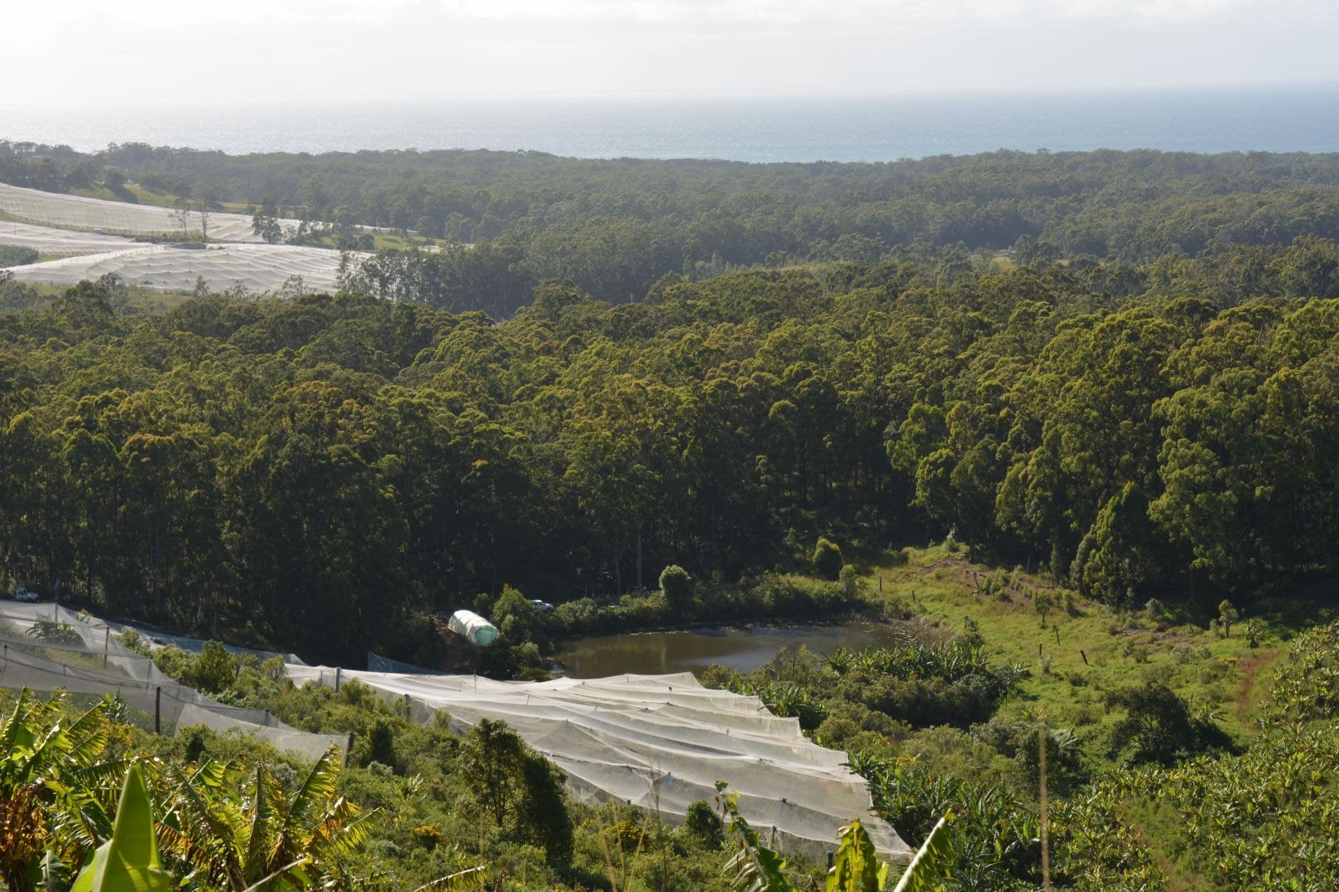 Lot 280 Bark Hut Rd WOOLGOOLGA NSW, Woolgoolga - Thumbnail 6