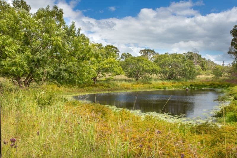 24 Six Mile Lane GLENUGIE NSW, Glenugie - Thumbnail 2