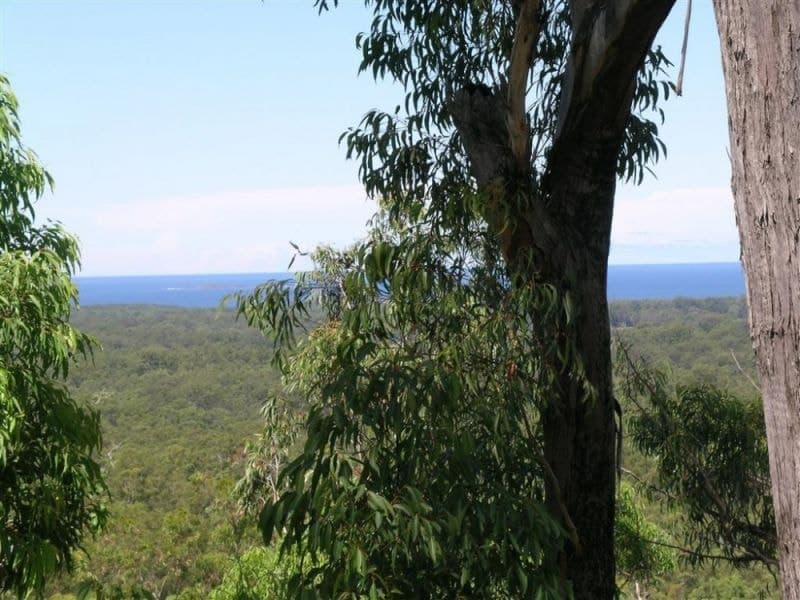 5 Alice Close DIRTY CREEK NSW, Dirty Creek - Image 1