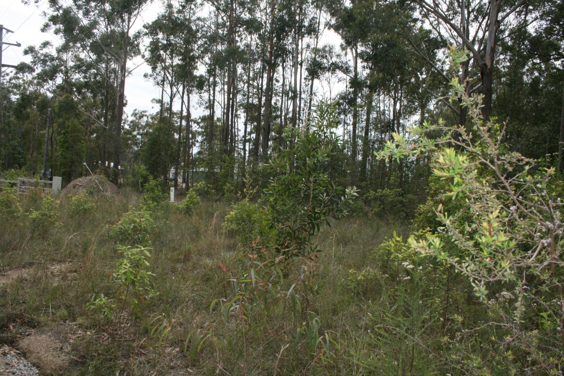 5 Alice Close DIRTY CREEK NSW, Dirty Creek - Thumbnail 4