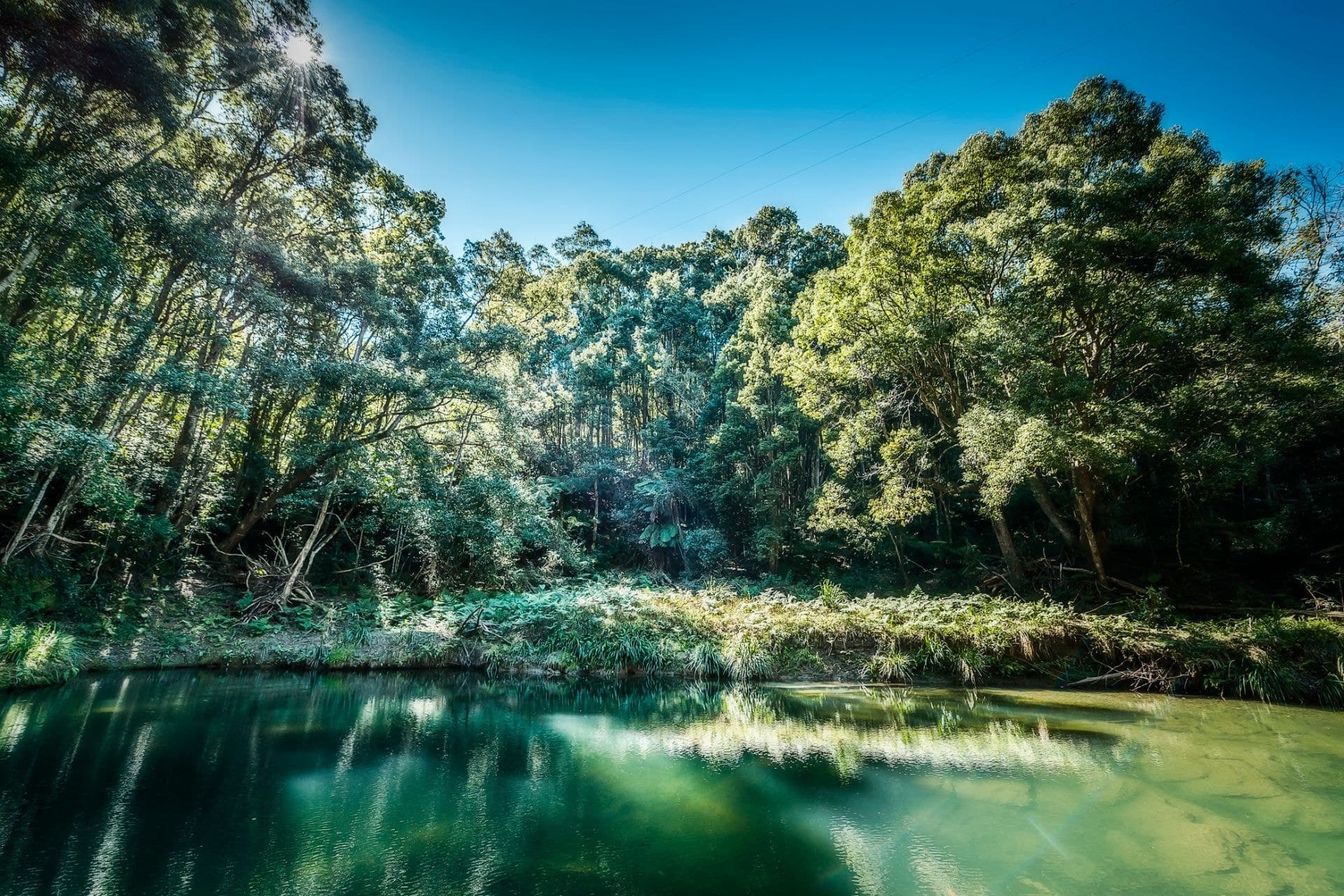 2300 Kalang Road. BELLINGEN NSW, Bellingen - Thumbnail 3