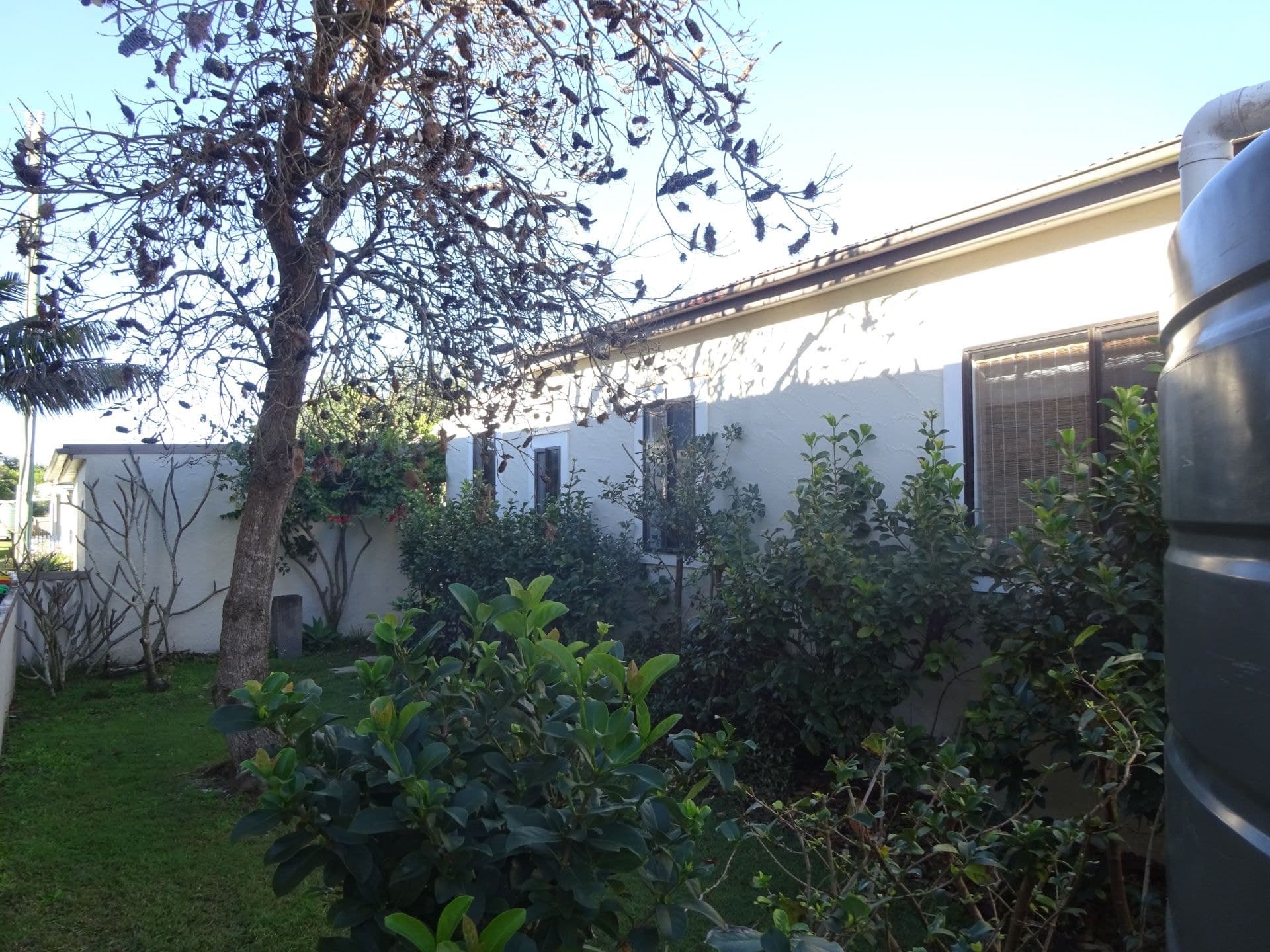 9 Ford St RED ROCK NSW, Red Rock - Thumbnail 3