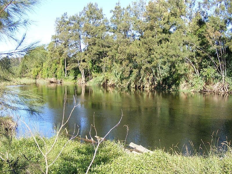 445 Summervilles Road BELLINGEN NSW, Bellingen - Thumbnail 2