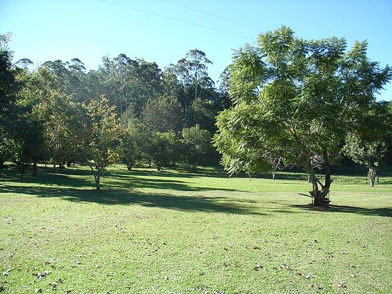 445 Summervilles Road BELLINGEN NSW, Bellingen - Thumbnail 5