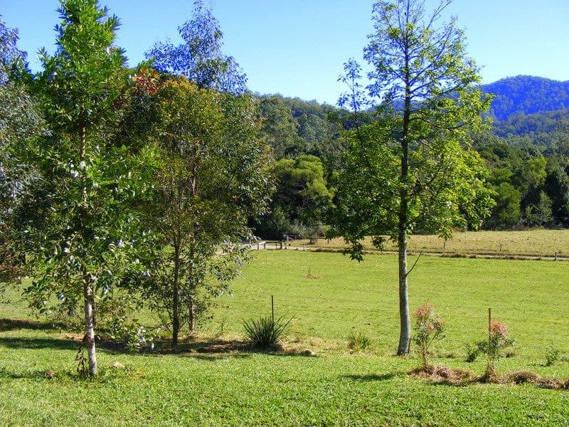 1537 Kalang Road Kalang BELLINGEN NSW, Bellingen - Thumbnail 3