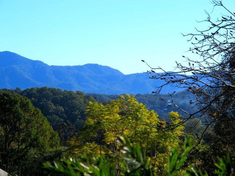50 Mcdougall Place Fernmount BELLINGEN NSW, Bellingen - Thumbnail 3