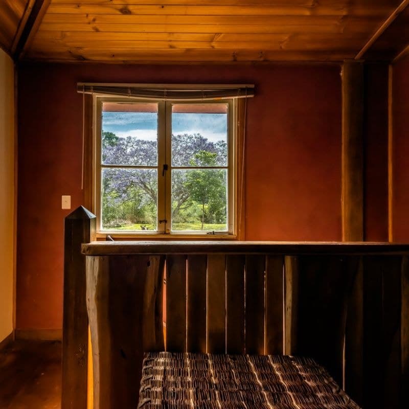 538 Darkwood Road BELLINGEN NSW, Bellingen - Thumbnail 8