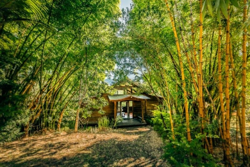 30 John Locke Place BELLINGEN NSW, Bellingen - Thumbnail 7