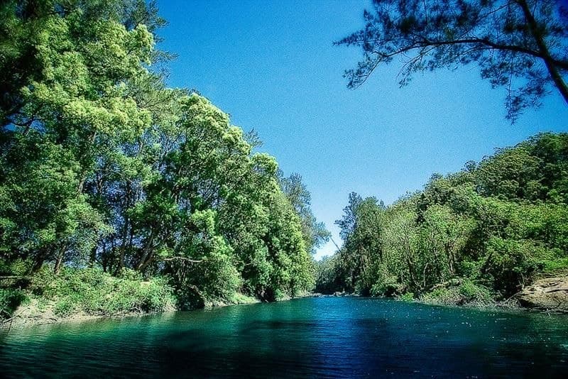 316 Kalang Road BELLINGEN NSW, Bellingen - Thumbnail 2