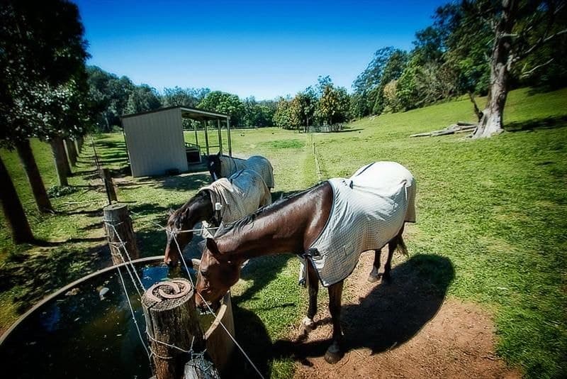 316 Kalang Road BELLINGEN NSW, Bellingen - Thumbnail 4