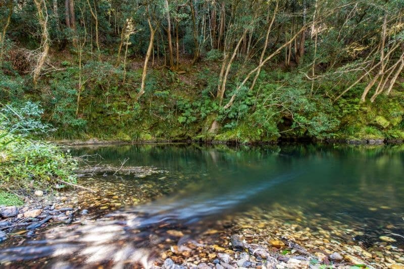 1770 Kalang Road BELLINGEN NSW, Bellingen - Image 1