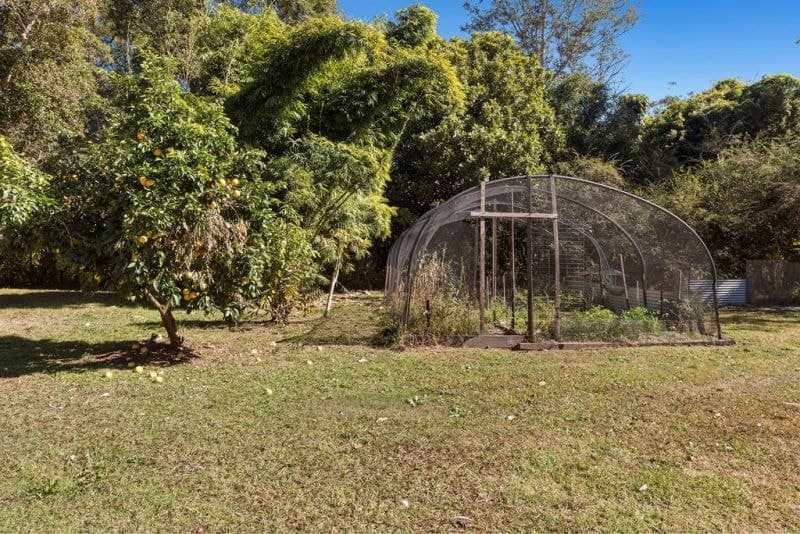 1770 Kalang Road BELLINGEN NSW, Bellingen - Thumbnail 6
