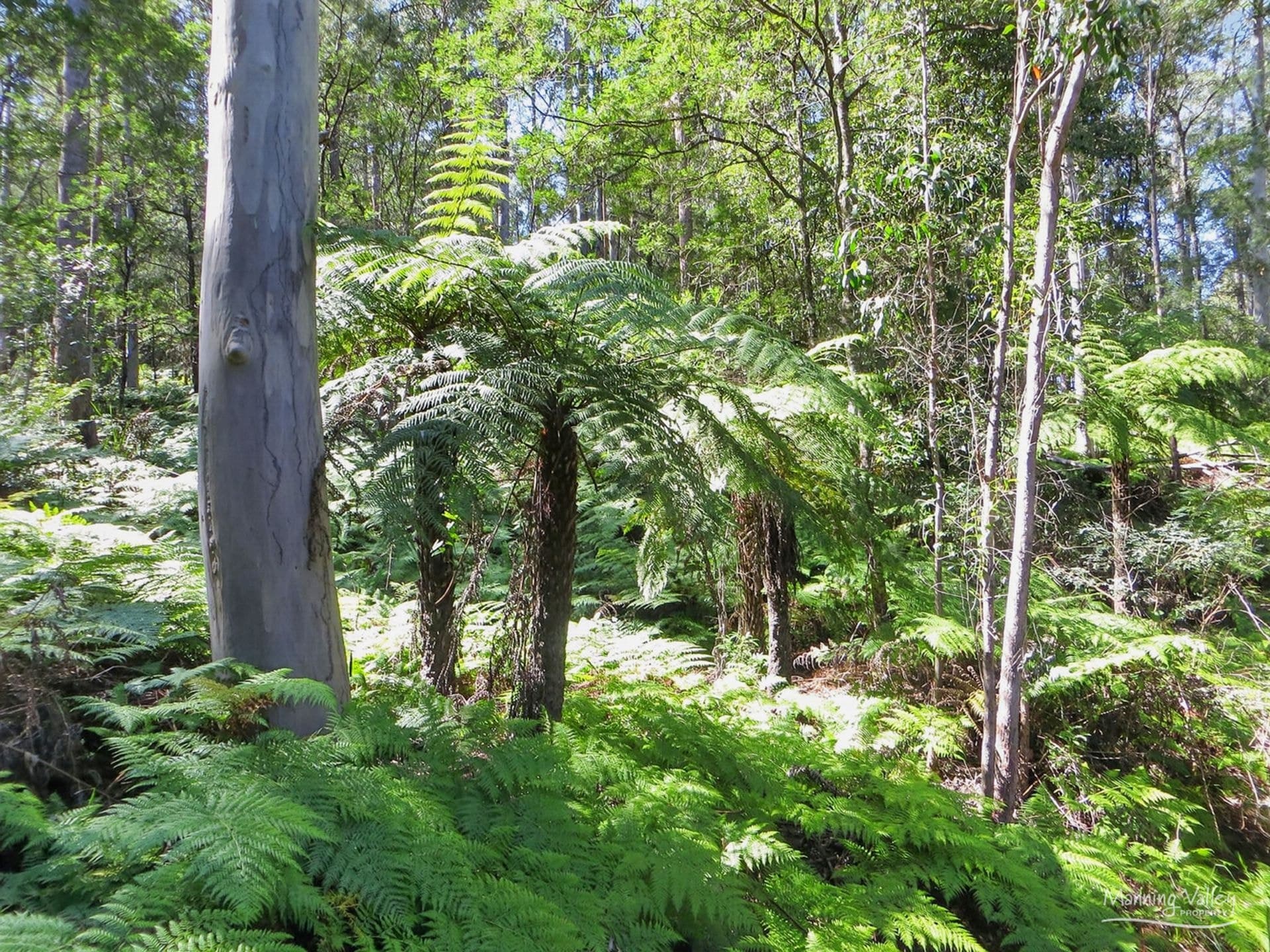 Lot 62 Baxters Ridge Road, Gloucester, Gloucester - Image 1