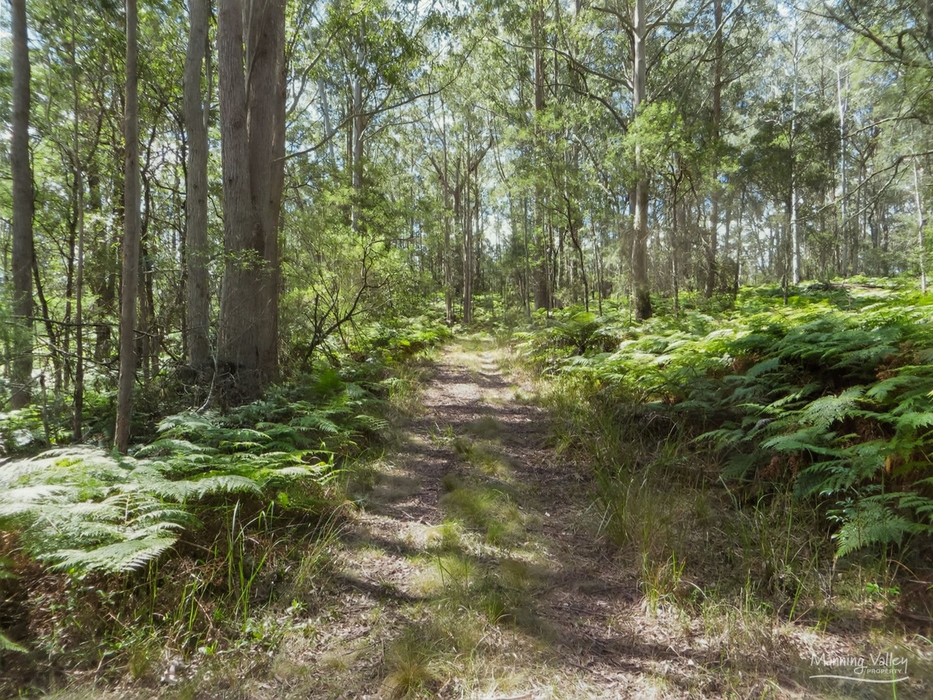 Lot 62 Baxters Ridge Road, Gloucester, Gloucester - Thumbnail 2