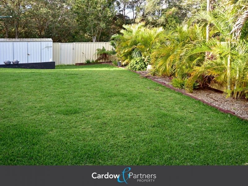 24 Strawberry Close WOOLGOOLGA NSW, Woolgoolga - Thumbnail 8