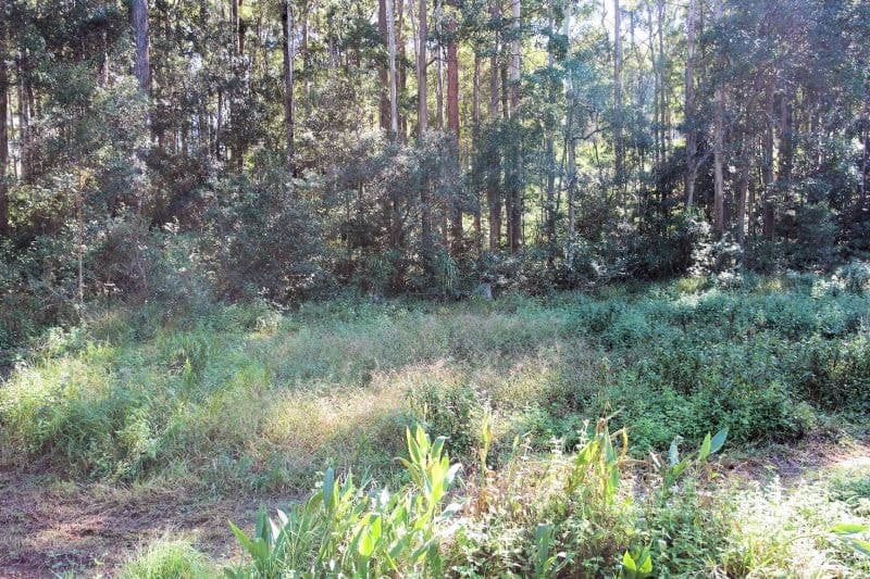 7 Morgans Rd SANDY BEACH NSW, Sandy Beach - Thumbnail 3