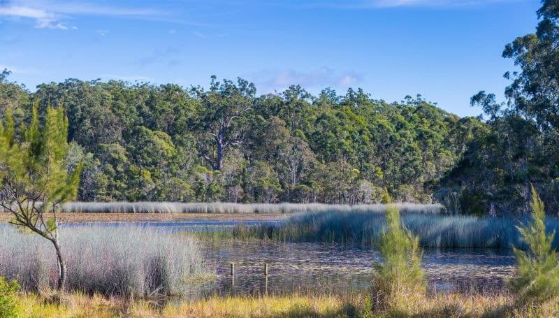 568 Parker Rd LANITZA NSW, Lanitza - Thumbnail 2