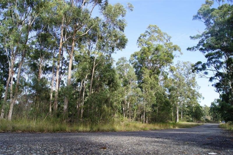 319 Dirty Creek Road DIRTY CREEK NSW, Dirty Creek - Image 1