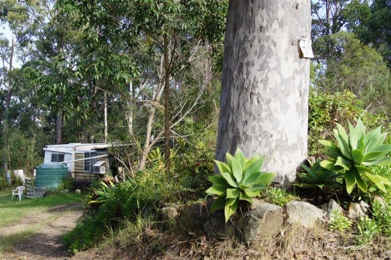 319 Dirty Creek Road DIRTY CREEK NSW, Dirty Creek - Thumbnail 4