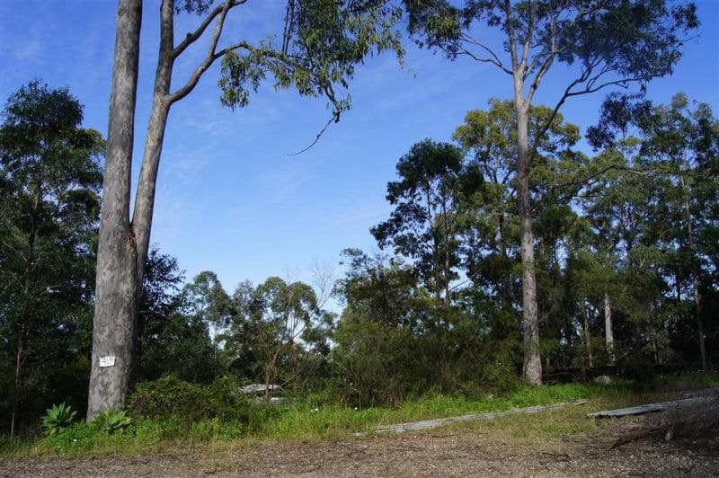 319 Dirty Creek Road DIRTY CREEK NSW, Dirty Creek - Thumbnail 6