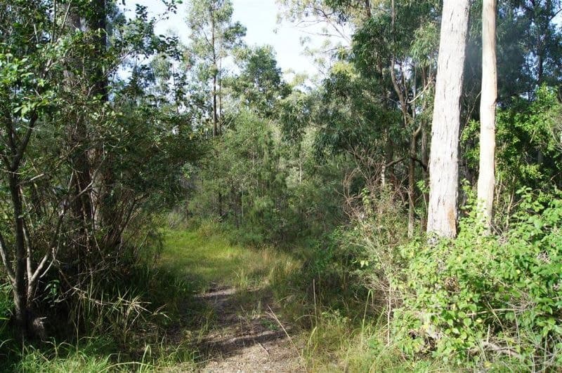 319 Dirty Creek Road DIRTY CREEK NSW, Dirty Creek - Thumbnail 7