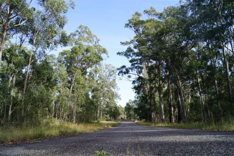 319 Dirty Creek Road DIRTY CREEK NSW, Dirty Creek - Thumbnail 8
