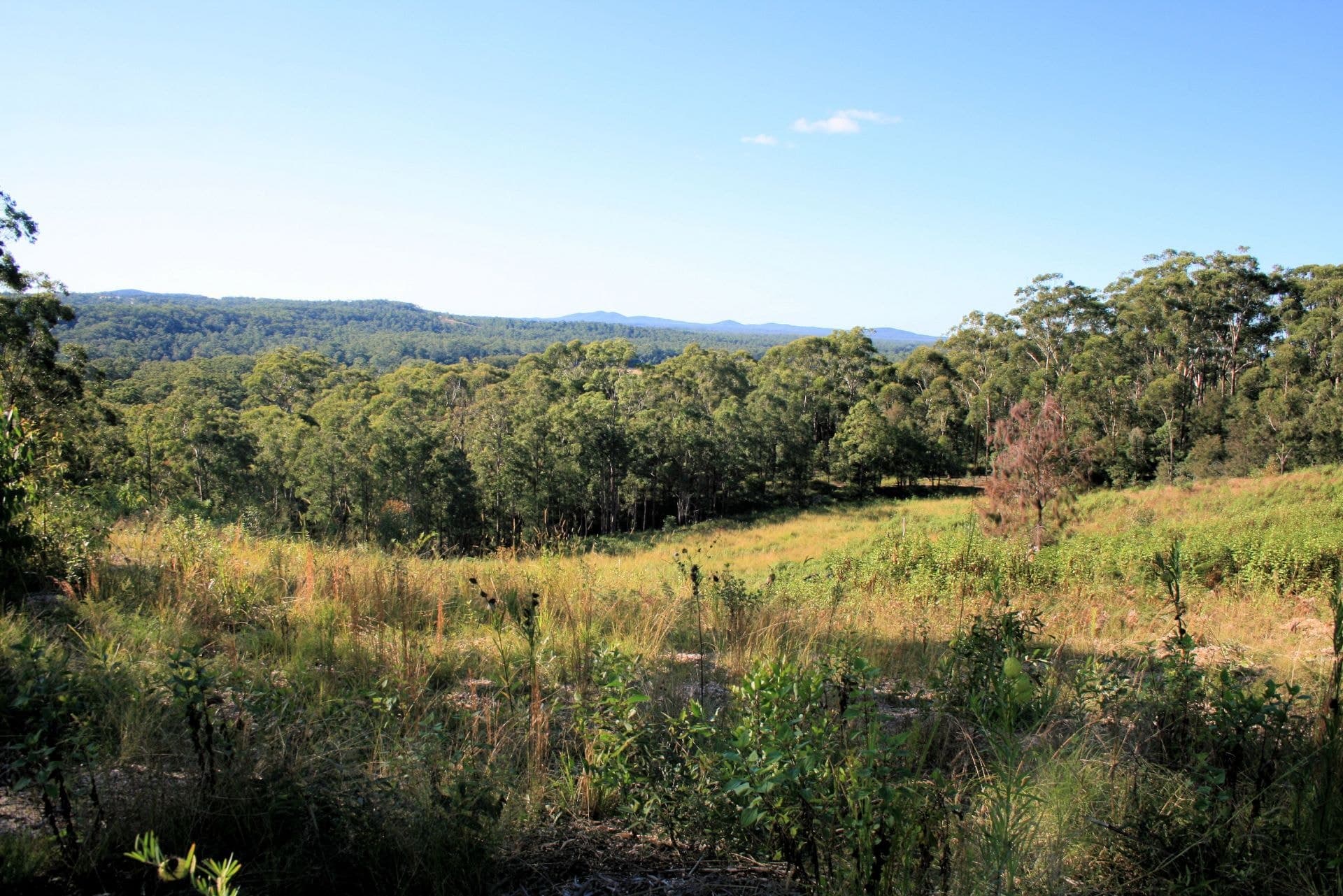 Part 41 Sherwood Creek Rd UPPER CORINDI NSW, Upper Corindi - Image 1