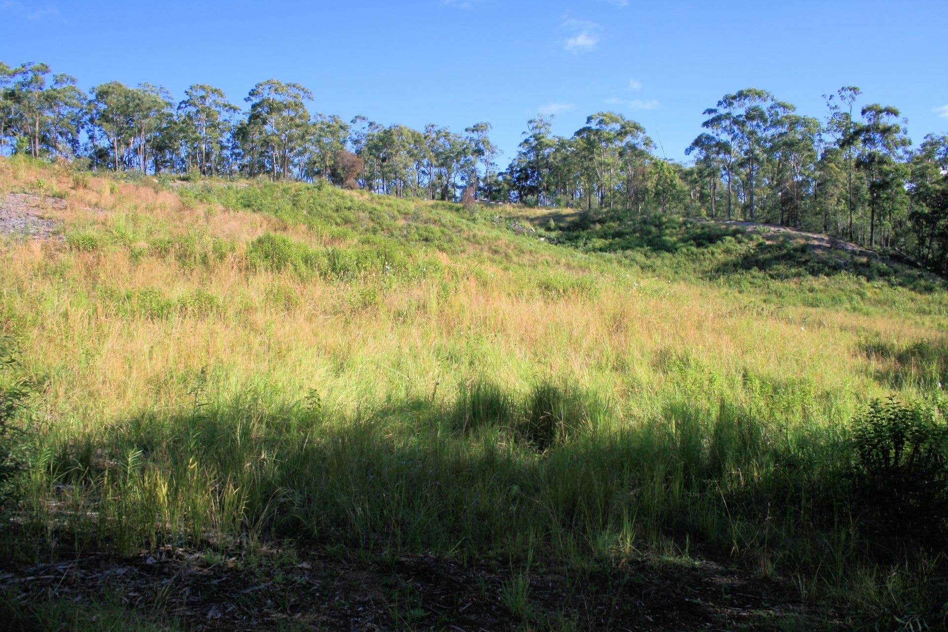 Part 41 Sherwood Creek Rd UPPER CORINDI NSW, Upper Corindi - Thumbnail 2