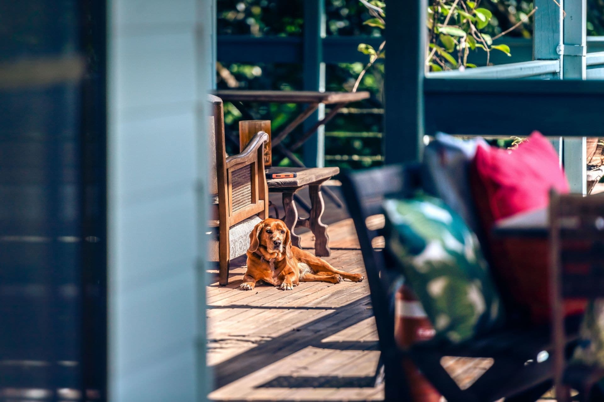 161 Mount Street BELLINGEN NSW, Bellingen - Thumbnail 7