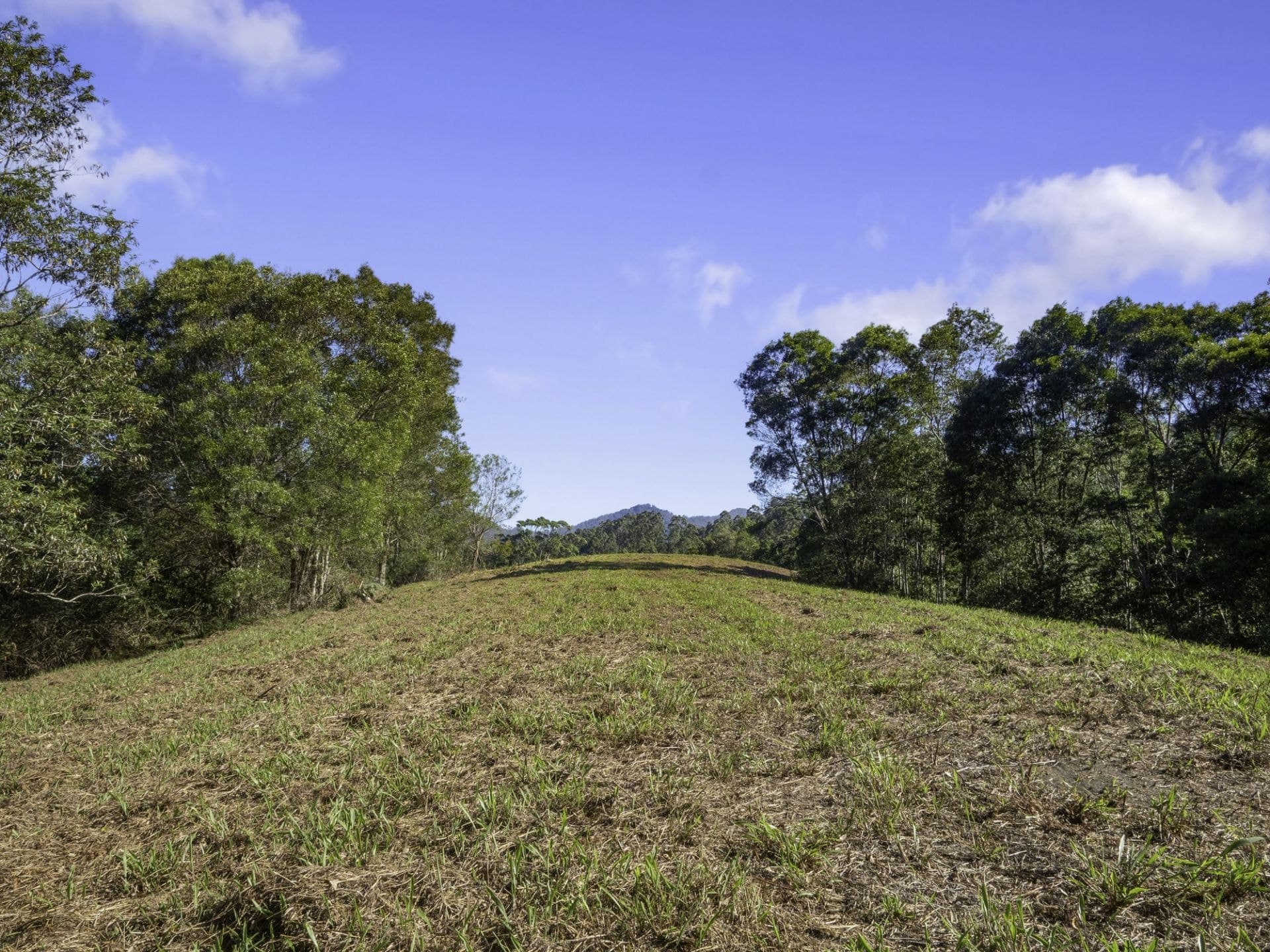 1938 Kalang Road BELLINGEN NSW, Bellingen - Thumbnail 4
