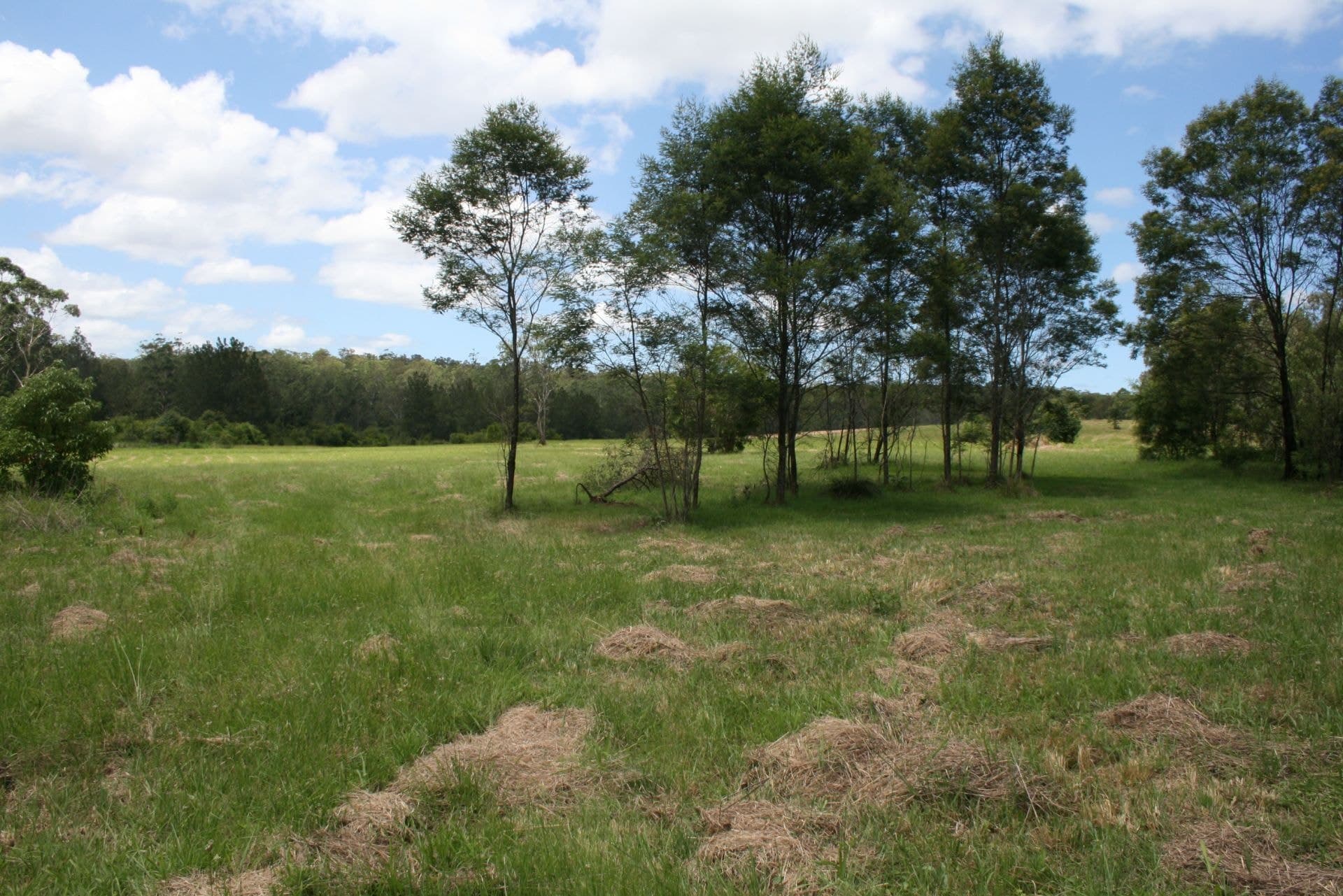 Lot 15 River Bend Road KUNGALA NSW, Kungala - Thumbnail 3