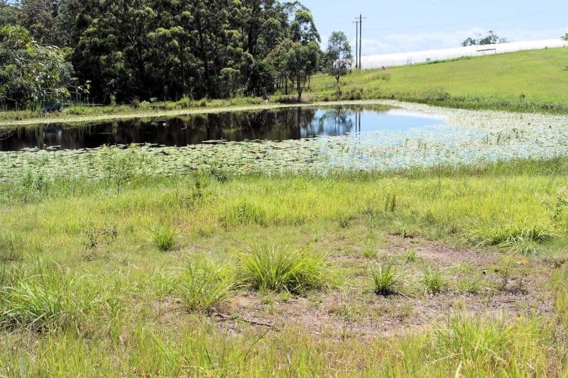 187 Newmans Road WOOLGOOLGA NSW, Woolgoolga - Thumbnail 2