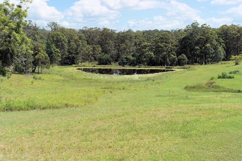 187 Newmans Road WOOLGOOLGA NSW, Woolgoolga - Thumbnail 6