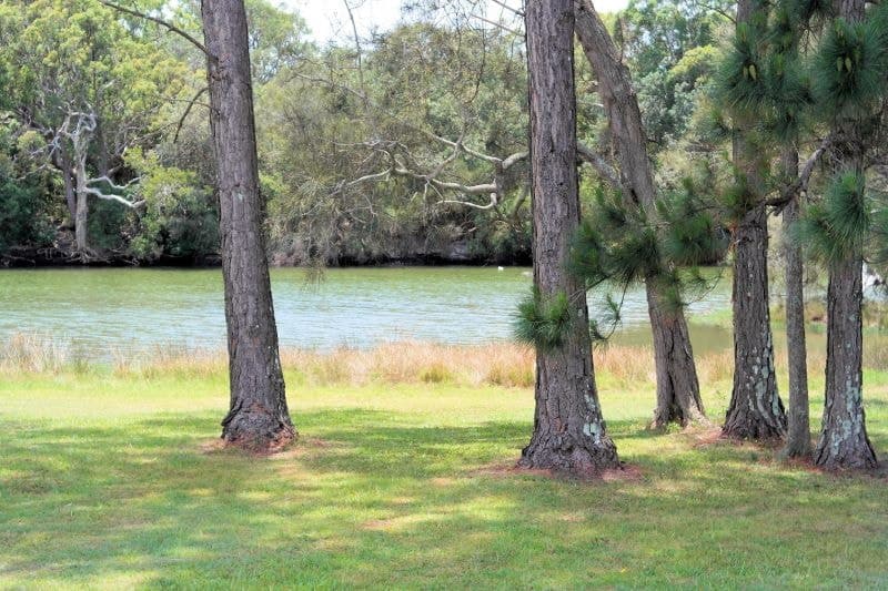 6 Clear Place WOOLGOOLGA NSW, Woolgoolga - Thumbnail 2