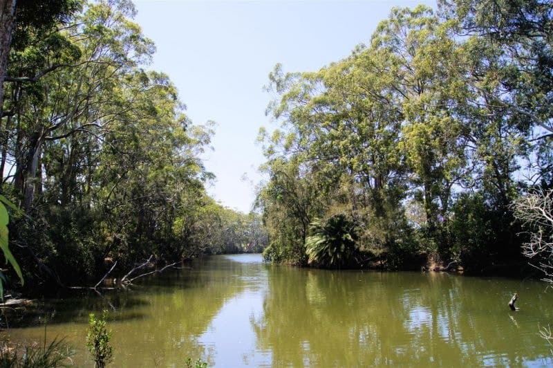 2/11 Haines Close WOOLGOOLGA NSW, Woolgoolga - Thumbnail 3