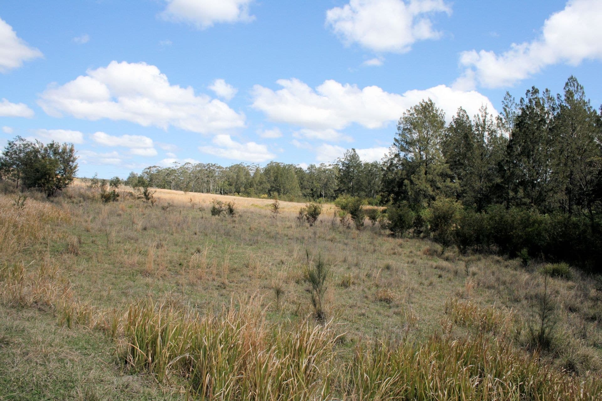 Portion 39 Riverbend Road KUNGALA NSW, Kungala - Image 1