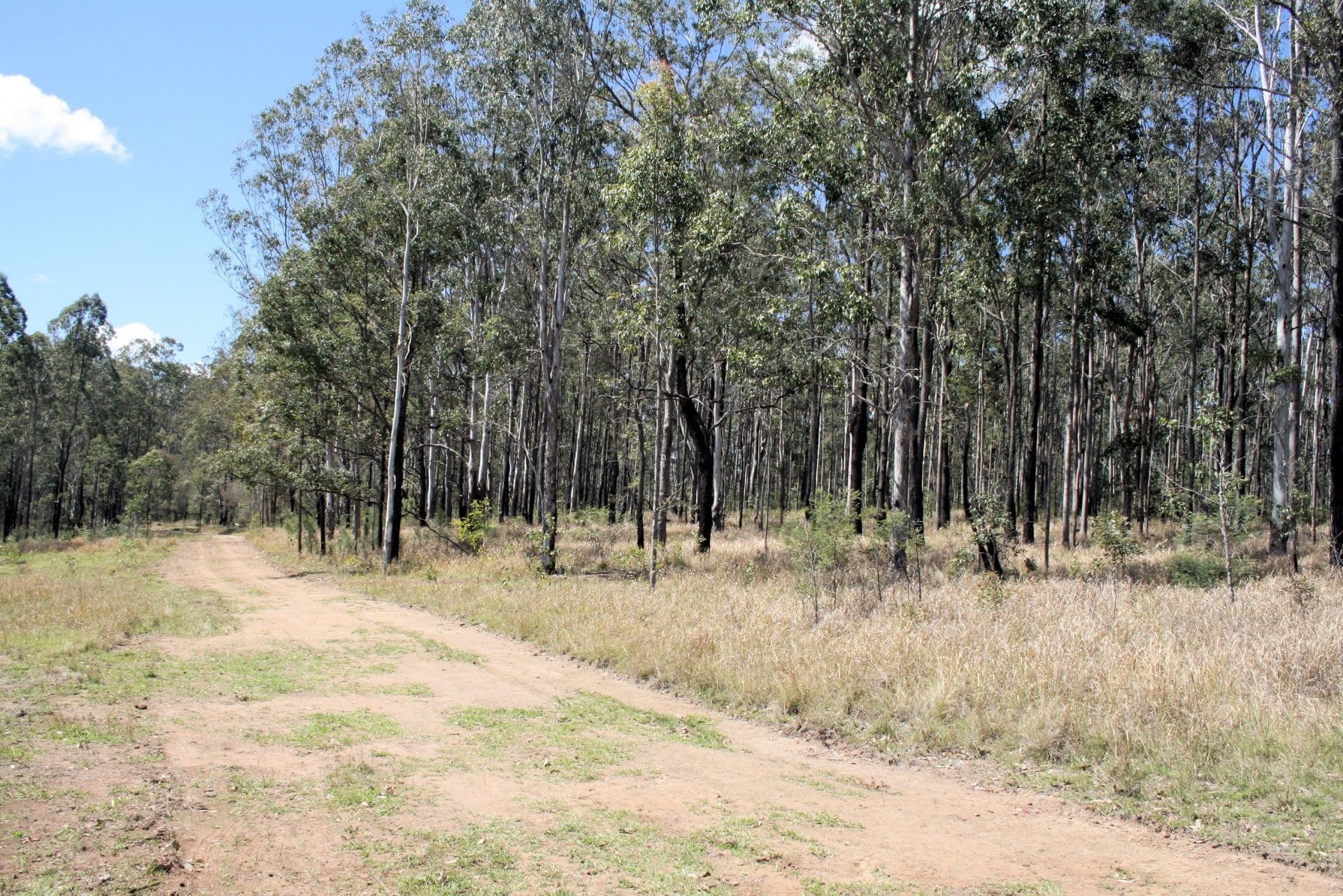 Portion 39 Riverbend Road KUNGALA NSW, Kungala - Thumbnail 3