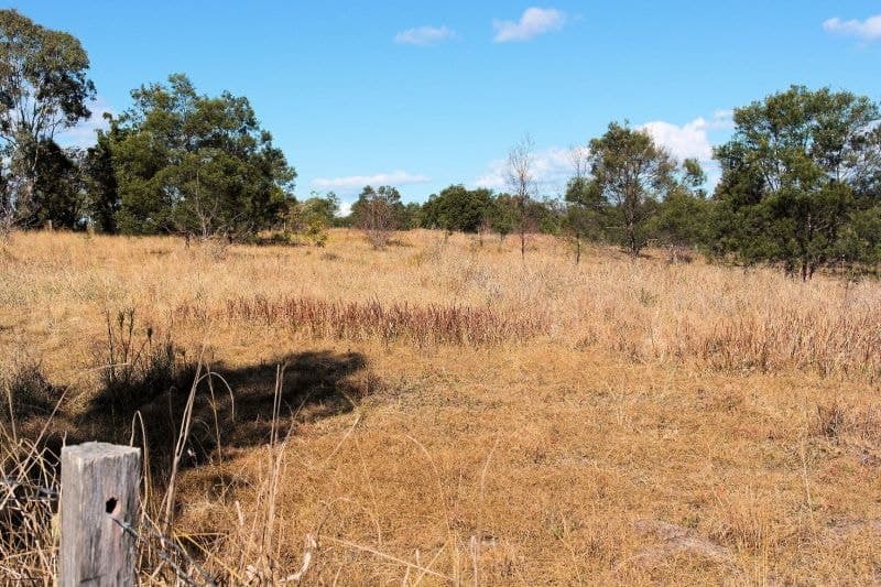 Lot 106 West Lanitza Rd LANITZA NSW, Lanitza - Thumbnail 2