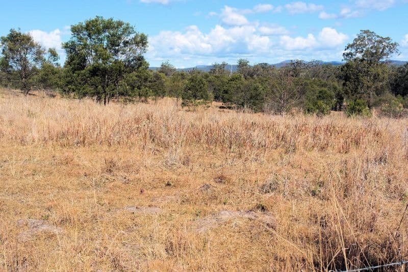 Lot 106 West Lanitza Rd LANITZA NSW, Lanitza - Thumbnail 3