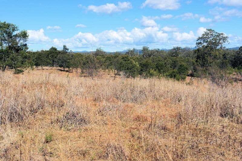 Lot 106 West Lanitza Rd LANITZA NSW, Lanitza - Thumbnail 4